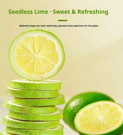 Fragrant Freeze-Dried Lemon Slices